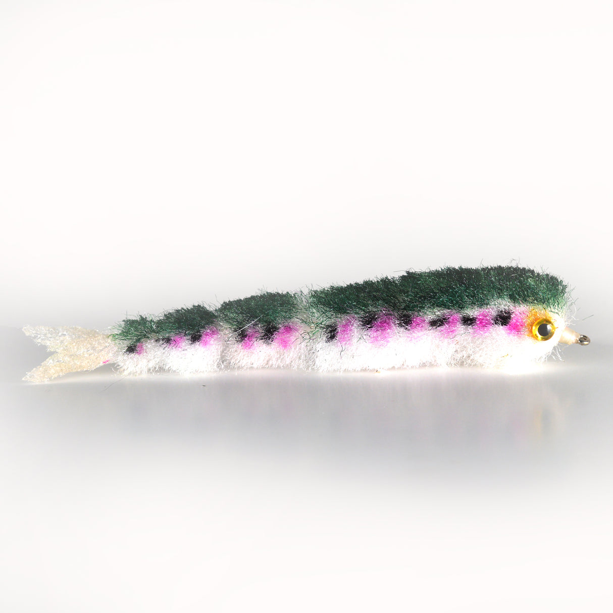 Game Changer Rainbow