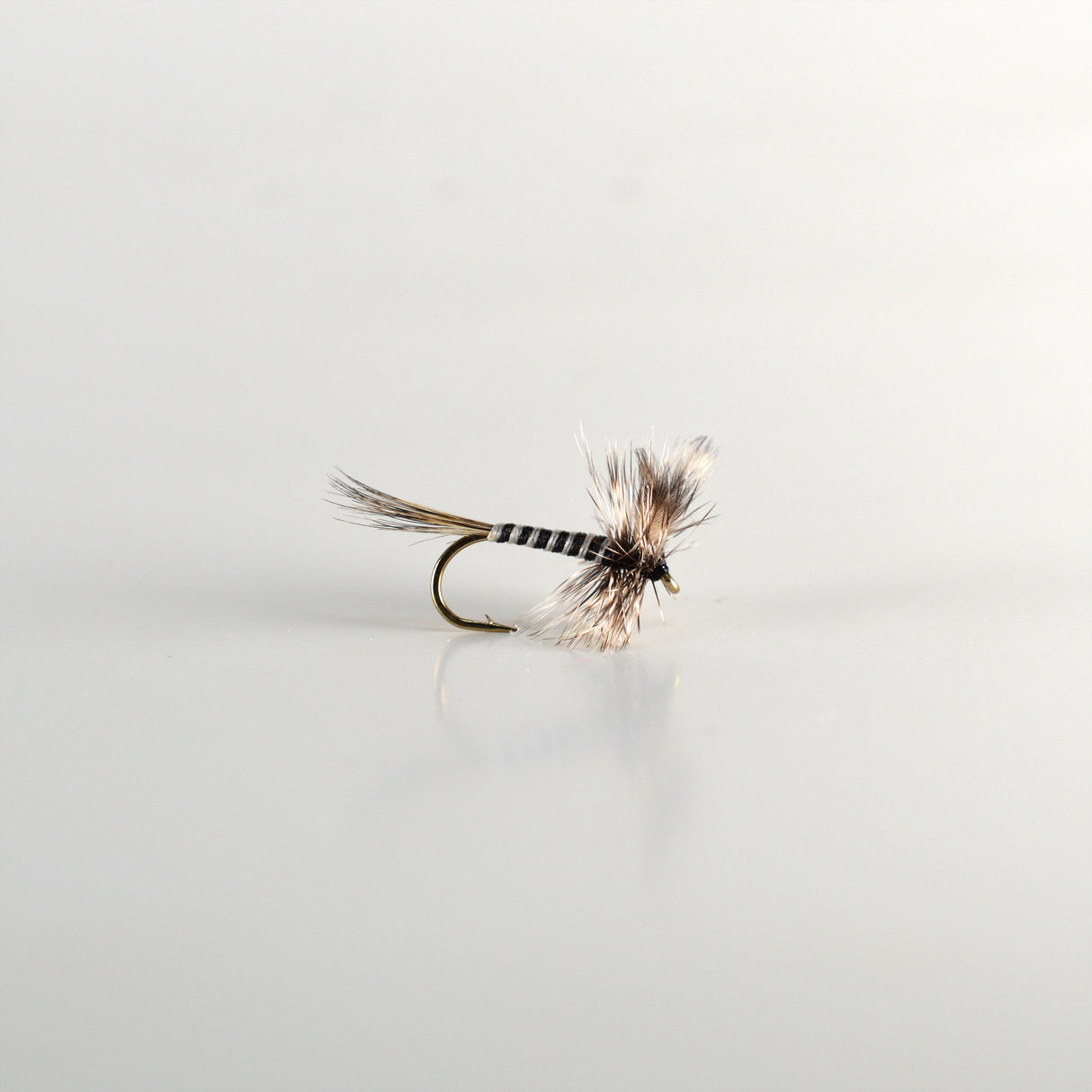 Mosquito