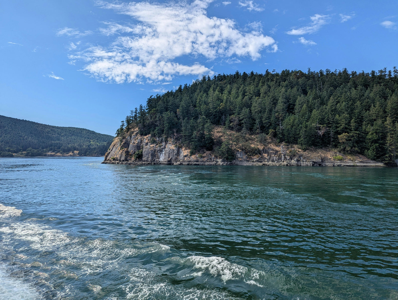 A forested coastal cliff along the shoreline of the Salish Sea in British Columbia, Canada, viewed from a moving boat with gentle wake in the foreground under a bright, partly cloudy sky.