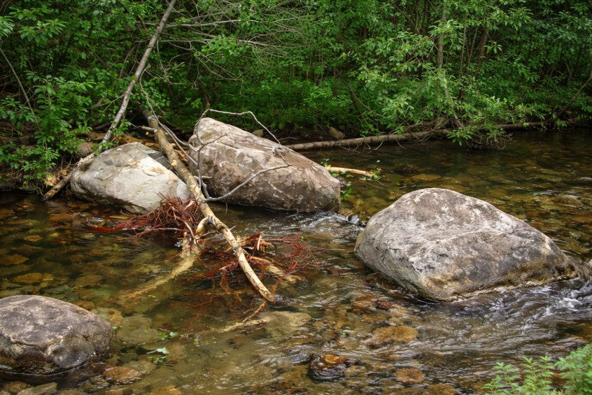 Rocky stream with fallen branches creating trout holding areas in clear water, useful for fly fishing strategy