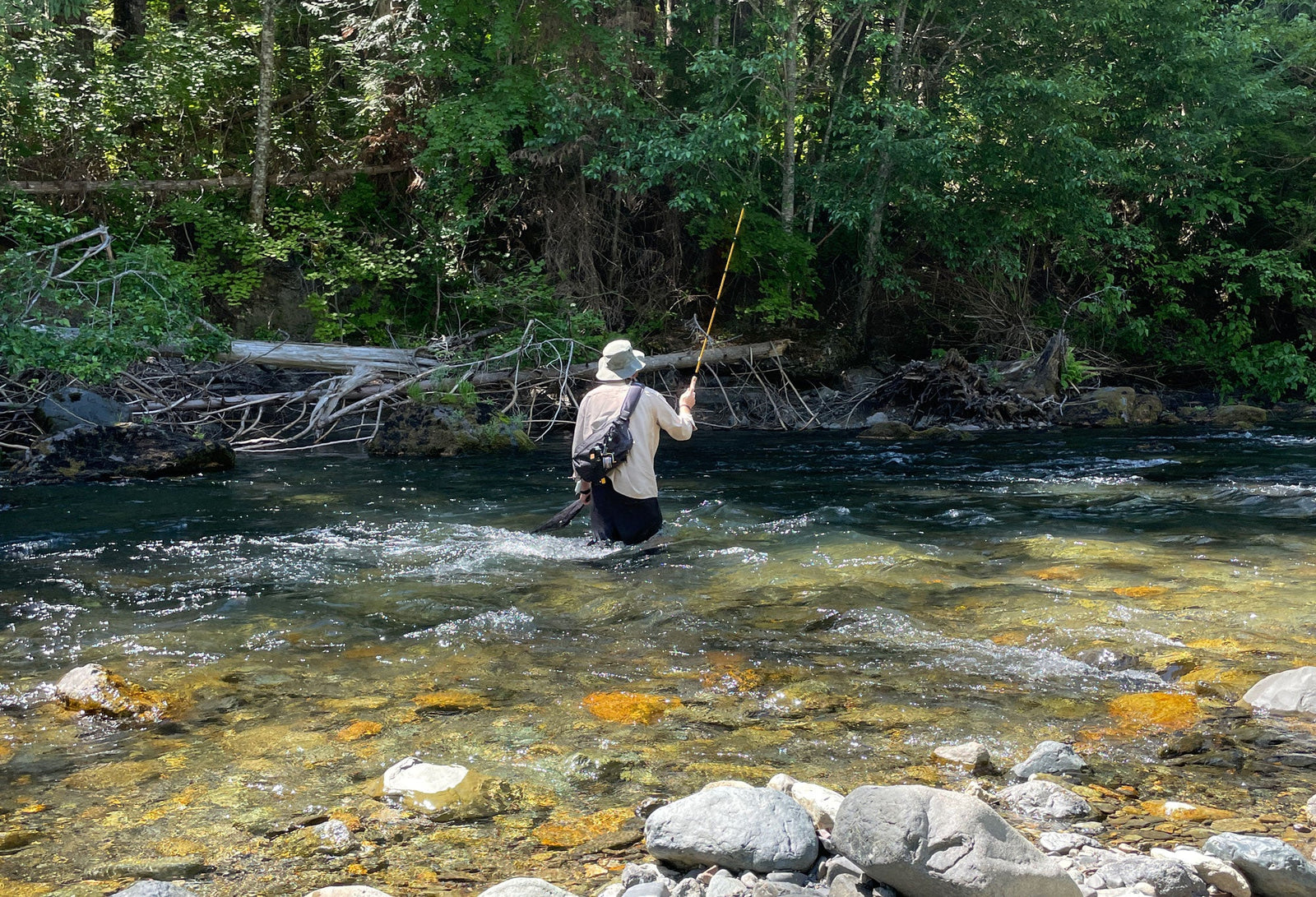 Classic vs. Modern Fly Patterns: Do Fish Really Care?