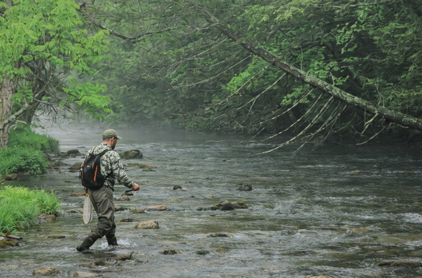 Fly angler wading a shallow river demonstrating trout fly fishing techniques, representing dry fly, nymph, and streamer approaches in natural water conditions