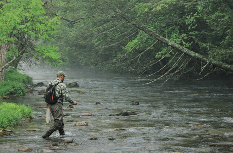 Fly angler wading a shallow river demonstrating trout fly fishing techniques, representing dry fly, nymph, and streamer approaches in natural water conditions