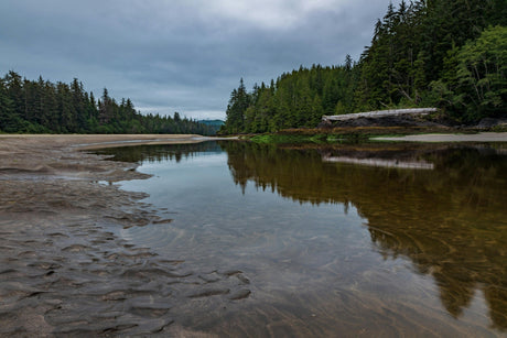 Low and clear river conditions in British Columbia with shallow water, exposed sandbars, and slow current typical for technical trout fishing
