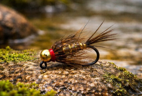 A gold bead head brown nymph fly resting on a wet rock, with fine hackle fibers and a segmented body designed to imitate aquatic insects.