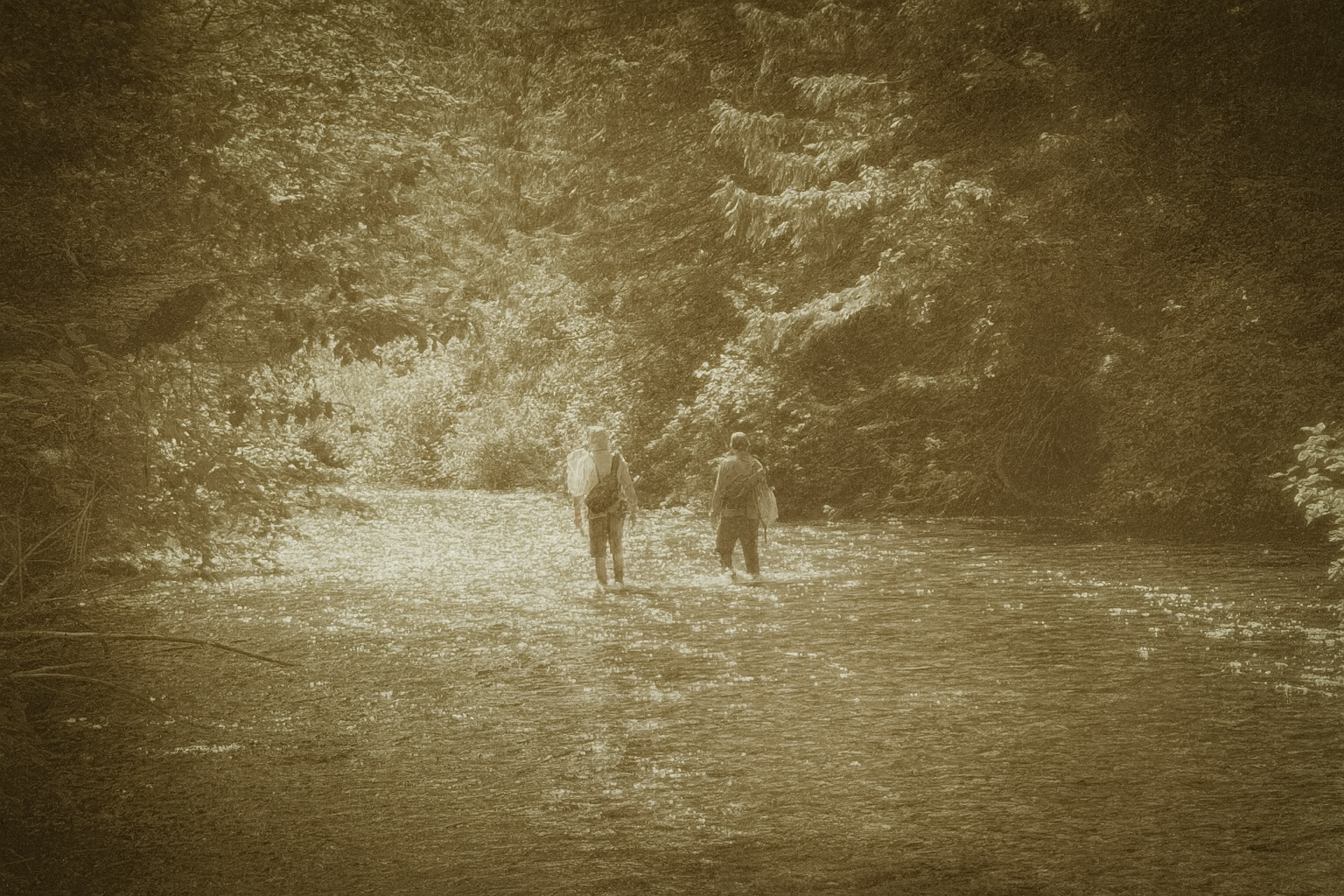 The Essential Flies Every Angler Should Carry (and When to Use Them)