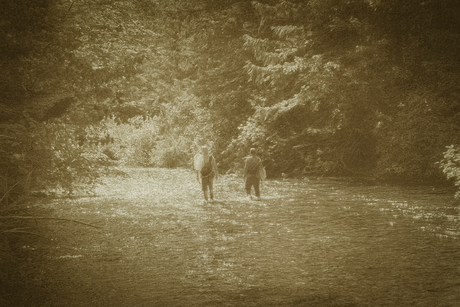 The Essential Flies Every Angler Should Carry (and When to Use Them)