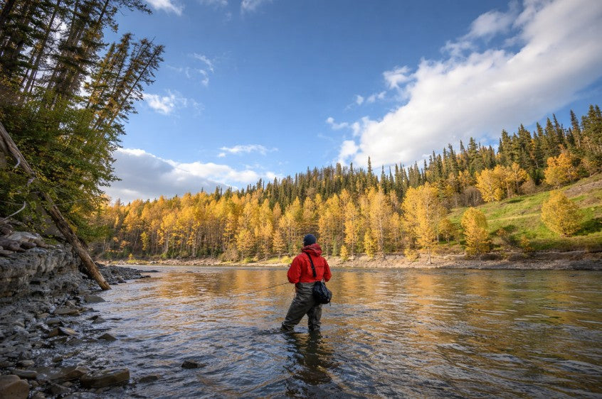 Fly fisherman wearing a red jacket stands in the Sustut River in British Columbia, casting in a calm autumn setting with golden trees and mountains in the background.