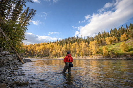 Fly fisherman wearing a red jacket stands in the Sustut River in British Columbia, casting in a calm autumn setting with golden trees and mountains in the background.