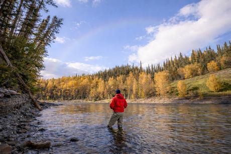 Fly fisherman in a red jacket standing in the Sustut River, British Columbia, surrounded by golden autumn trees with a faint rainbow blending softly into the sky above.