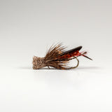 Dave's Hopper Brown