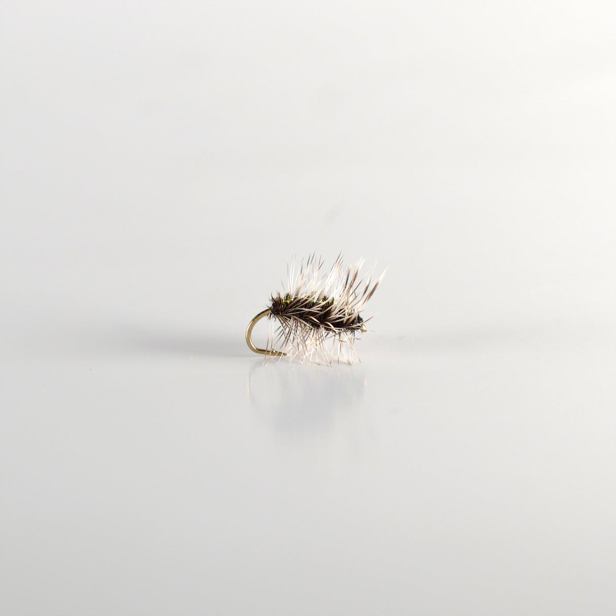 Griffith Gnat