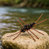 Pat's Rubber Legs Black/Brown