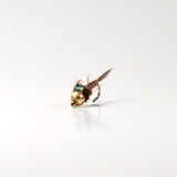 Tungsten Beadhead Lightning Bug