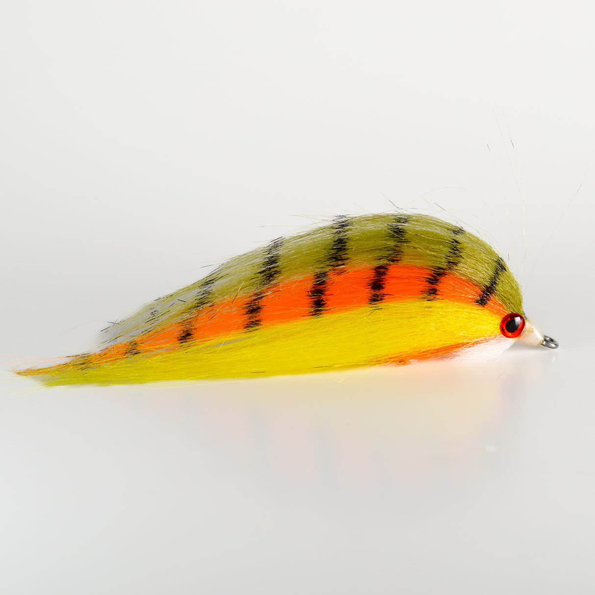 Yellow Perch